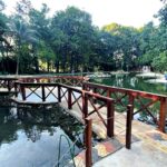 Piscinas revitalizadas